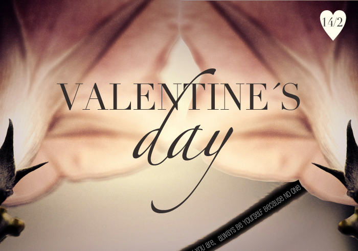 alla-hjärtans-dag,presenter,smycken,492