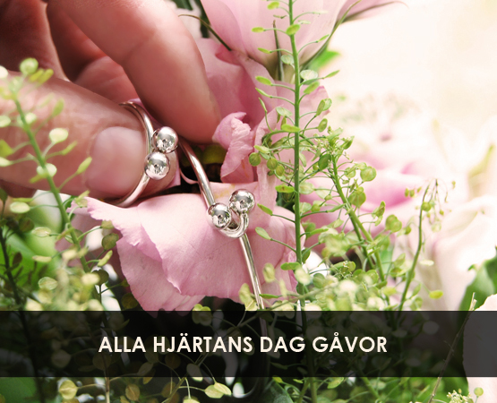 ALLA-HJARTANS-DAG-SILVERSMYCKEN,NY